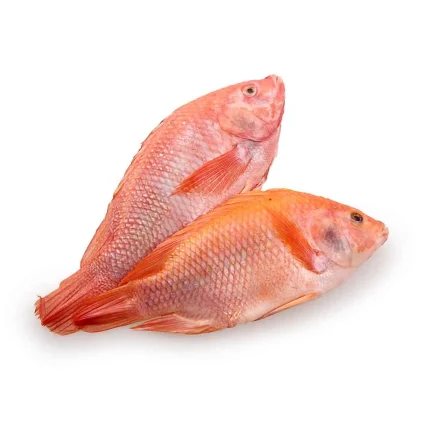 TILAPIA 1 KILO