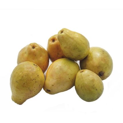 GUAYABA PERA